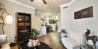 River Pointe Gallery 7