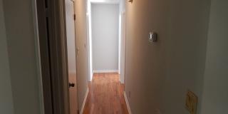 RENOVATED 4/2 House w/ Large Yard, Wood Floors, Screen Porch, Game Room/Office, & More! $2475/month Available August 1st!! Gallery 17