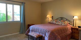 6255 N Camino Pimeria Alta Gallery 14