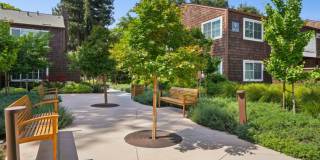 Peartree Apartments Gallery 42