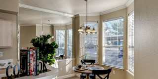 The Palazzo Apartments Gallery 4