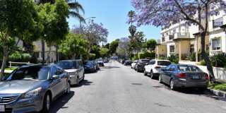 Westmount Towers Gallery 3