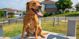 Lenox West Luxury Apartments Gallery 28