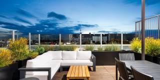 Silhouette Gallery 33