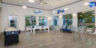 Lory of Tallahassee Gallery 15