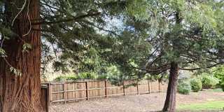 Beautiful Remodeled Home. Gallery 9