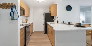 The Gramercy Gallery 12