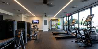 The Common Gallery 16