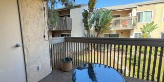 Large Studio in La Jolla / UTC area Gallery 18