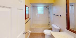 2219 Umbrella Tree Drive Gallery 16