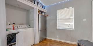 1674 sharkey Gallery 12