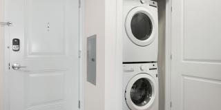 Molly Brook on Belmont Gallery 23