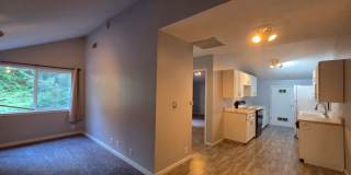 Quaint Gig Harbor One Bedroom for Rent! Available Now! Gallery 1