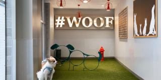 J Malden Center Gallery 40