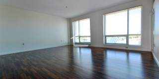 Luxury Fenway Apartment minutes walk to NEU and more!  Laundry in Unit! Pet Friendly Gallery 1