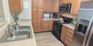 21216 MCFADDEN Square Gallery 13