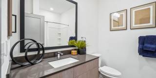 Premier at West Park Gallery 15