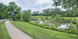 4619 Beaufont Spring Ct Gallery 36
