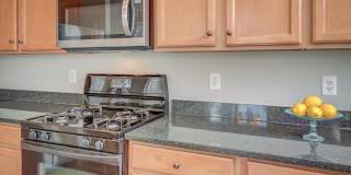 42451 MAGELLAN Square Gallery 13