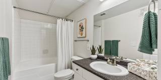 Stone Oak @ Parmer Gallery 18