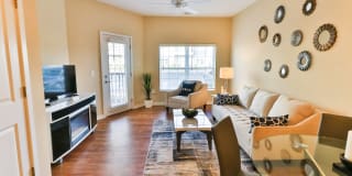 The Fenimore Gallery 9