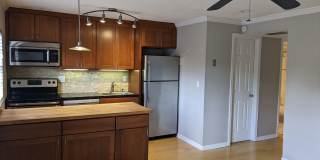 Downtown Orlando (Lake Davis, Delaney Park, Lake Cherokee) Gallery 5