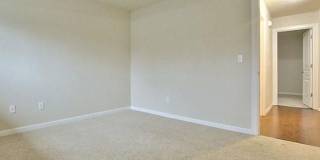 Light & Bright 2 Bed 1 Bath Condo! Gallery 11