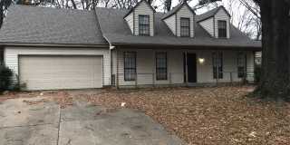 4342 Oak Chase Cove Gallery 1