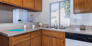 Ridgewood Village Apartment Homes Gallery 32