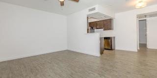 Treehouse Apartments Gallery 10