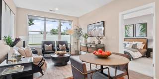 Canter Green Gallery 22