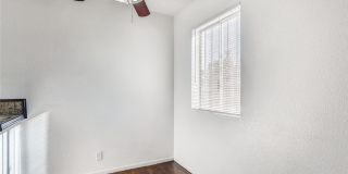24 Rose Circle Gallery 12