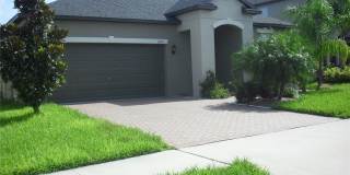 25195 LAMBRUSCO LOOP Gallery 1