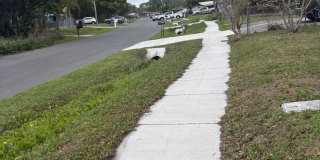 2810 Geoffrey Drive Gallery 8