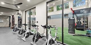 Cortland Duluth Gallery 14