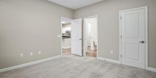 5151 Foxtail Pine Street Gallery 33