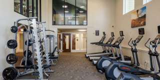 Lumina Apartments Gallery 37