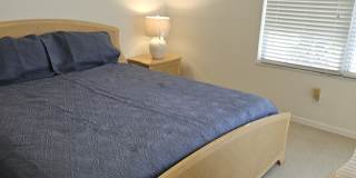 23810 Costa Del Sol Rd Gallery 13