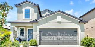 9434 Lemon Drop Loop Gallery 4