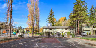 Crystal Bay Gallery 12