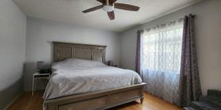 Gorgeous 3-Bedroom, 2-Bathroom in Brandon Gallery 12