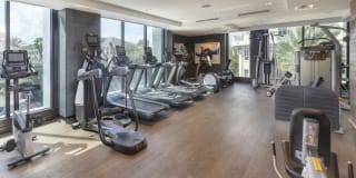 500 Harbour Island Gallery 26