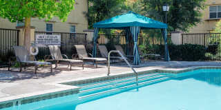 Paseos At Magnolia Luxury Apartment Homes Gallery 4