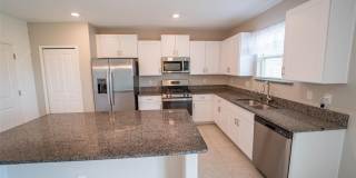 9831 LEMON DROP Loop Gallery 19