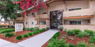 Ladera Woods Gallery 9