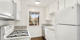 25781 Marguerite Gallery 1