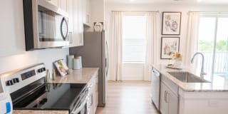 The Enzo at Ariston Gallery 1