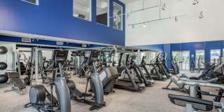 Pierhouse at Channelside Gallery 15