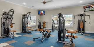 Terra Mar Gallery 32