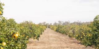 Arrive Temecula Gallery 44